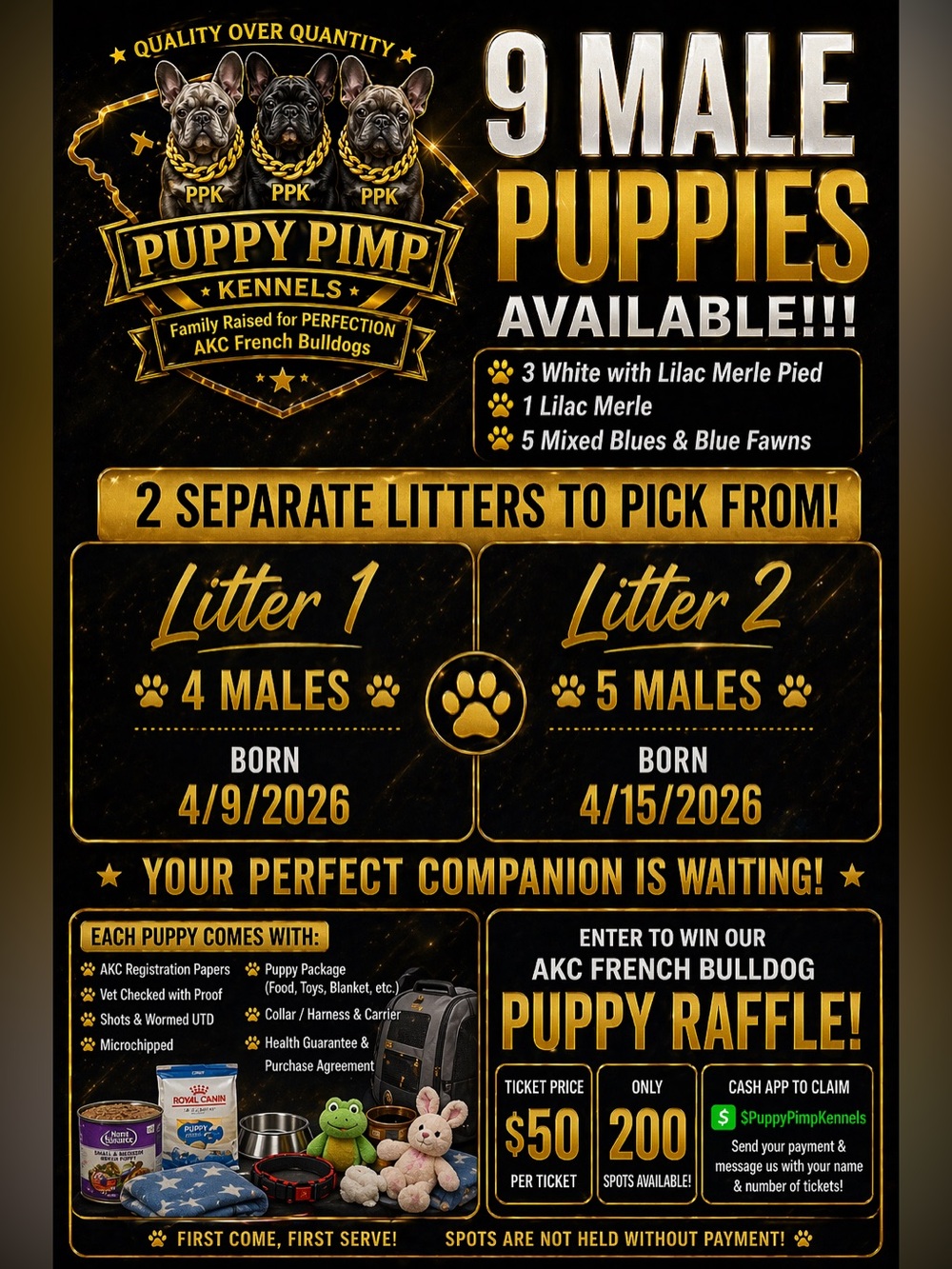 Puppy Pimp Kennels - Raffle!!!!! - Picture 2 of 11